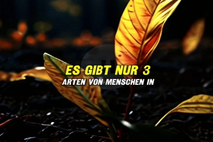 Es gibt nur 3 Arten von Menschen