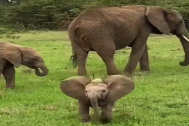 Nichts ist so wertvoll wie die Freiheit