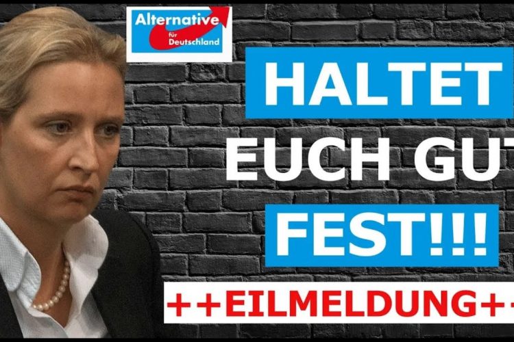 Schonungslose Wahrheit! Alice Weidel redet Klartext!wir