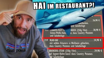 Warnung: GIFTIGES Hai-Fleisch in deutschen RESTAURANTS! – Haltet die Augen offen!