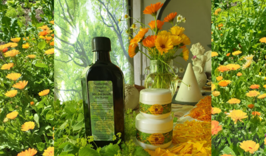 NOTHELFER SALBE BIO 💚🌼🌼💚Nothelfer Tropfen Bio