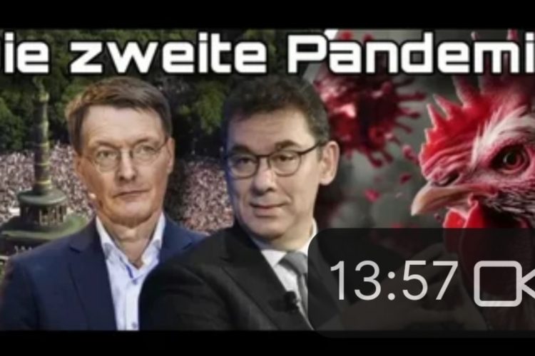 Es beginnt: Zweite Pandemie wird gesamte Menschheit aufwecken