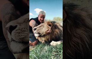 Big boy Leo🦁