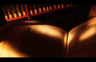 Das Handbuch der Hexenjagd