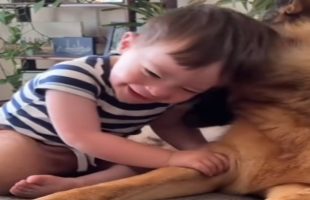 Pet and Baby