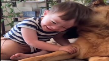 Pet and Baby