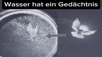 Wasser hat ein Gedachtnissie (Vibration Frequenz )