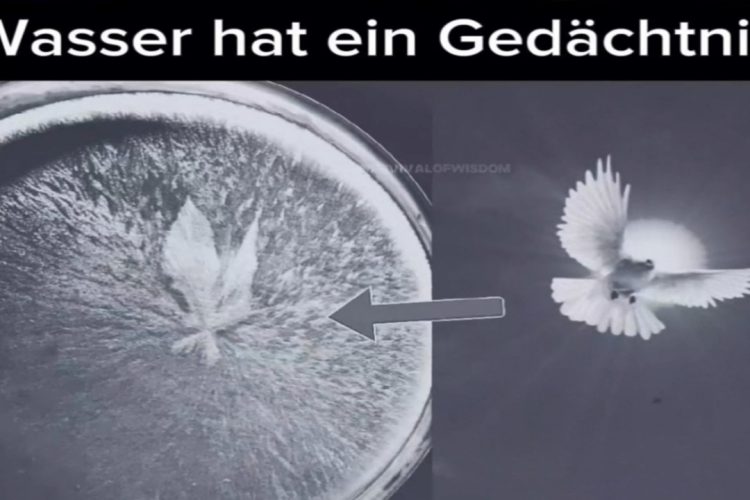 Wasser hat ein Gedachtnissie (Vibration Frequenz )
