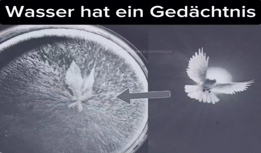 Wasser hat ein Gedachtnissie (Vibration Frequenz )