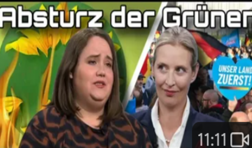 Absturz der Grünen: Bald fliegen sie auch aus dem Bundestag