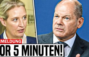 NACH 2 MIN GELÖSCHT! Alice Weidel ENTHÜLLT das VERSAGEN der Regierung!