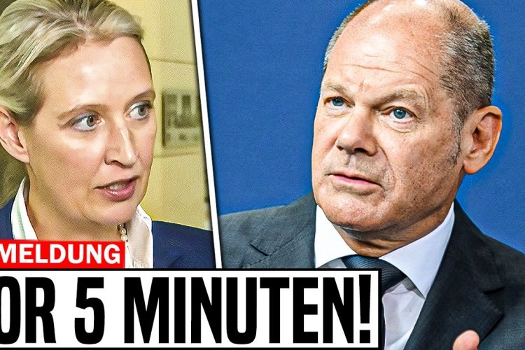 NACH 2 MIN GELÖSCHT! Alice Weidel ENTHÜLLT das VERSAGEN der Regierung!