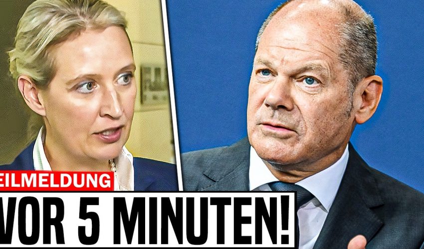 NACH 2 MIN GELÖSCHT! Alice Weidel ENTHÜLLT das VERSAGEN der Regierung!