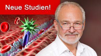 Spike-Protein führt zu systemischer Störung der Mikrodurchblutung + Weit..