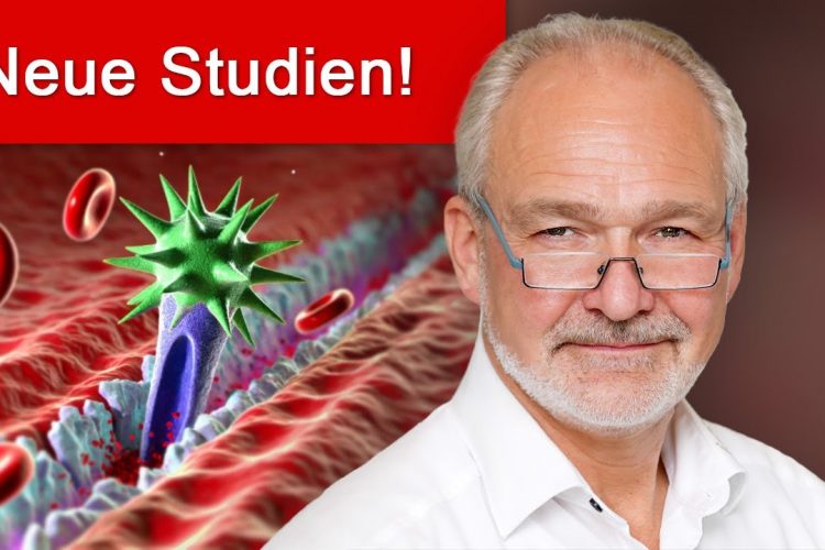 Spike-Protein führt zu systemischer Störung der Mikrodurchblutung + Weit..