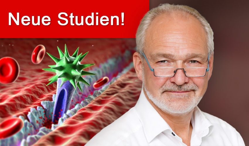 Spike-Protein führt zu systemischer Störung der Mikrodurchblutung + Weit..