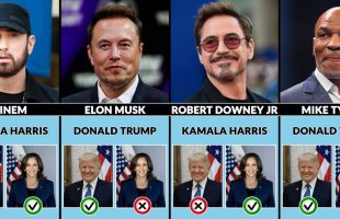 Celebrities Who Support Kamala Harris or Donald Trump