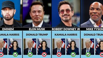 Celebrities Who Support Kamala Harris or Donald Trump