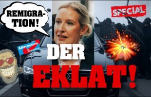 ANTIFA greift WEIDEL an! BEST OF AfD-Parteitag in RIESA! 💥⚡️Schwere Zusammenstöße