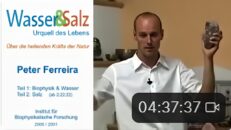 Sensationell guter Vortrag über das Leben(KOMPLETT) ( Wasser , Kristalle und Salz ) Peter Ferreira