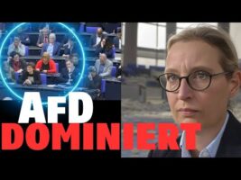 Alice Weidel mit der Besten Rede ihres Lebens! (Bundestag geschockt)