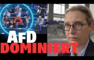 Alice Weidel mit der Besten Rede ihres Lebens! (Bundestag geschockt)