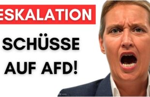 Nordrhein-Westfalen: Schüsse auf AfD-Wahlkampfstand!