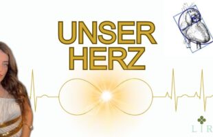 „Der Herz-Torus und der Bauplan derErde“