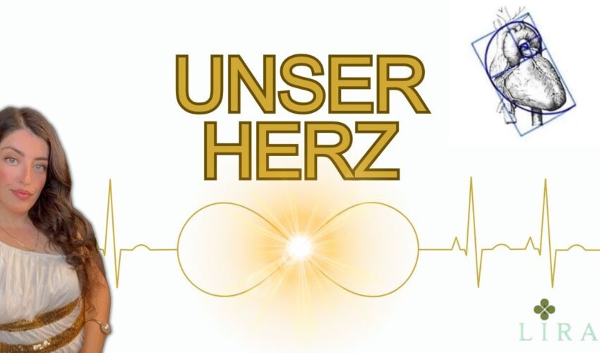 „Der Herz-Torus und der Bauplan derErde“