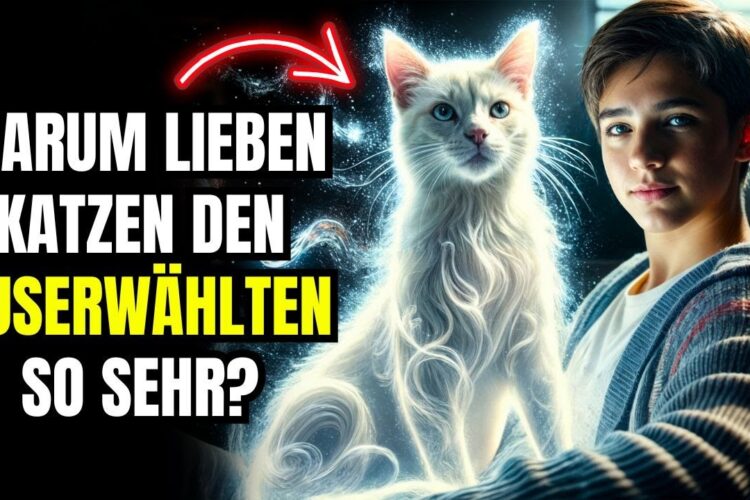 Warum Verbinden Sich Die KatzenSo Sehr Mit Den Auserwählten? DieWahrheit Wird Dich Überraschen!