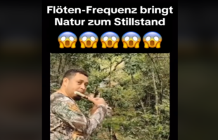 Flöten-Frequenz bringt Natur zum Stillstand