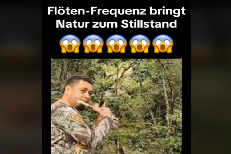Flöten-Frequenz bringt Natur zum Stillstand