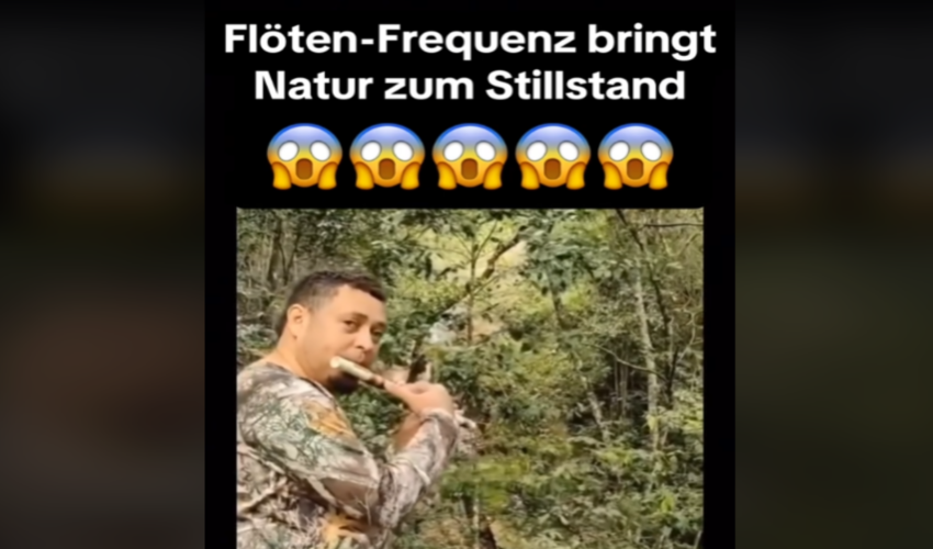 Flöten-Frequenz bringt Natur zum Stillstand