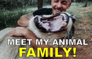 Dean Schneider – Hakuna Mipaka VLOG 6 Meet my Animal Family