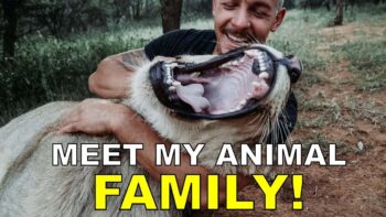 Dean Schneider – Hakuna Mipaka VLOG 6 Meet my Animal Family