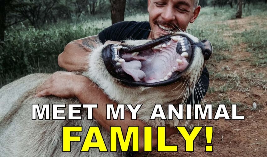 Dean Schneider – Hakuna Mipaka VLOG 6 Meet my Animal Family