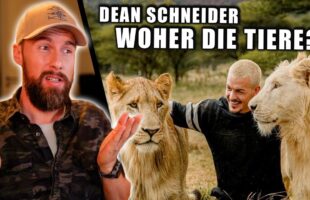 Tierschützer reagiert auf Dean Schneider – Woher sind die Tiere? | Robert Marc Lehmann