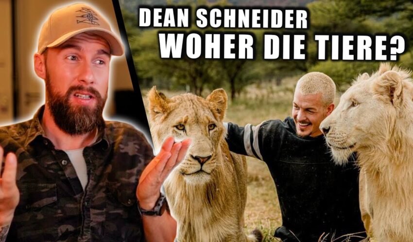 Tierschützer reagiert auf Dean Schneider – Woher sind die Tiere? | Robert Marc Lehmann