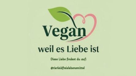 Tierleidfrei leben, vegane Ernährung, Lebensmittel, tierleidfreie Rezepte und sonstige tierleidfreie Produkte