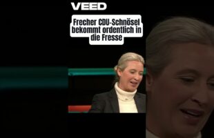Alice Weidel zerlegt frechen CDU-Schnösel