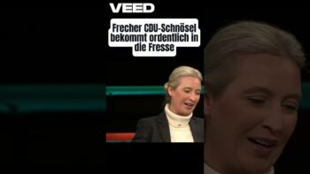 Alice Weidel zerlegt frechen CDU-Schnösel