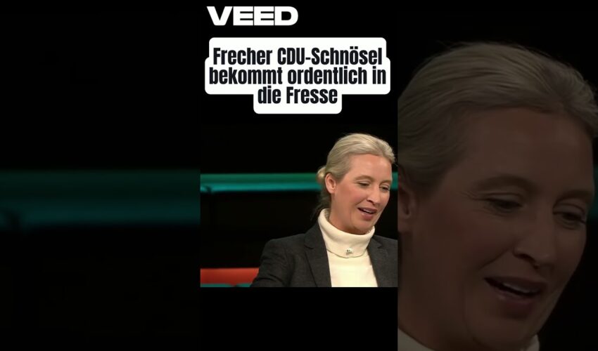 Alice Weidel zerlegt frechen CDU-Schnösel