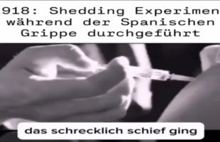 Shedding Experiment während der Spanischen Grippe durchgeführt