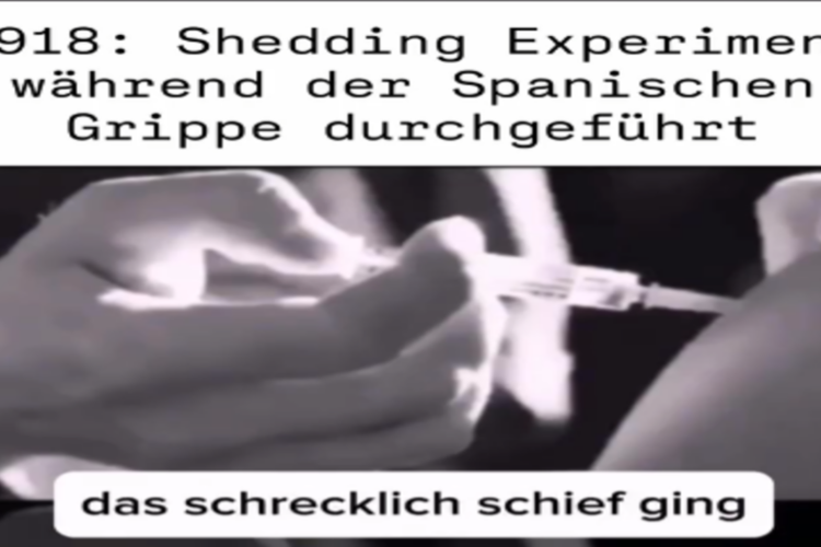 Shedding Experiment während der Spanischen Grippe durchgeführt
