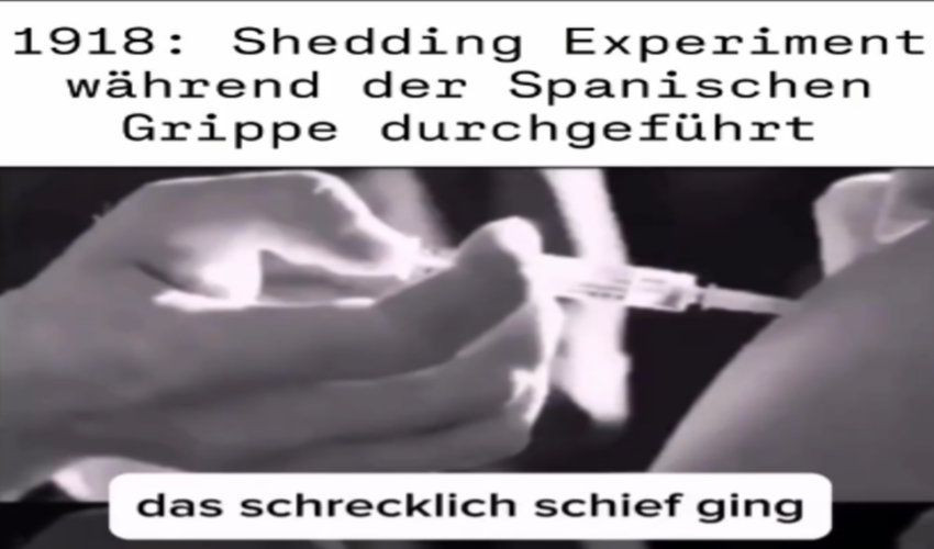 Shedding Experiment während der Spanischen Grippe durchgeführt
